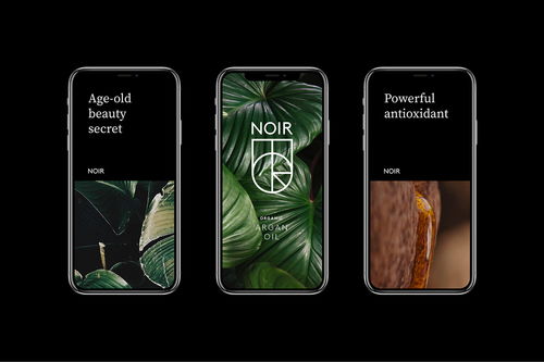 深度解读 Noir摩洛哥坚果油品牌形象设计——融合神秘与奢华的平面设计艺术